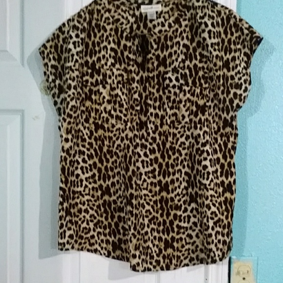 Short Sleeve blouse - Picture 3 of 8